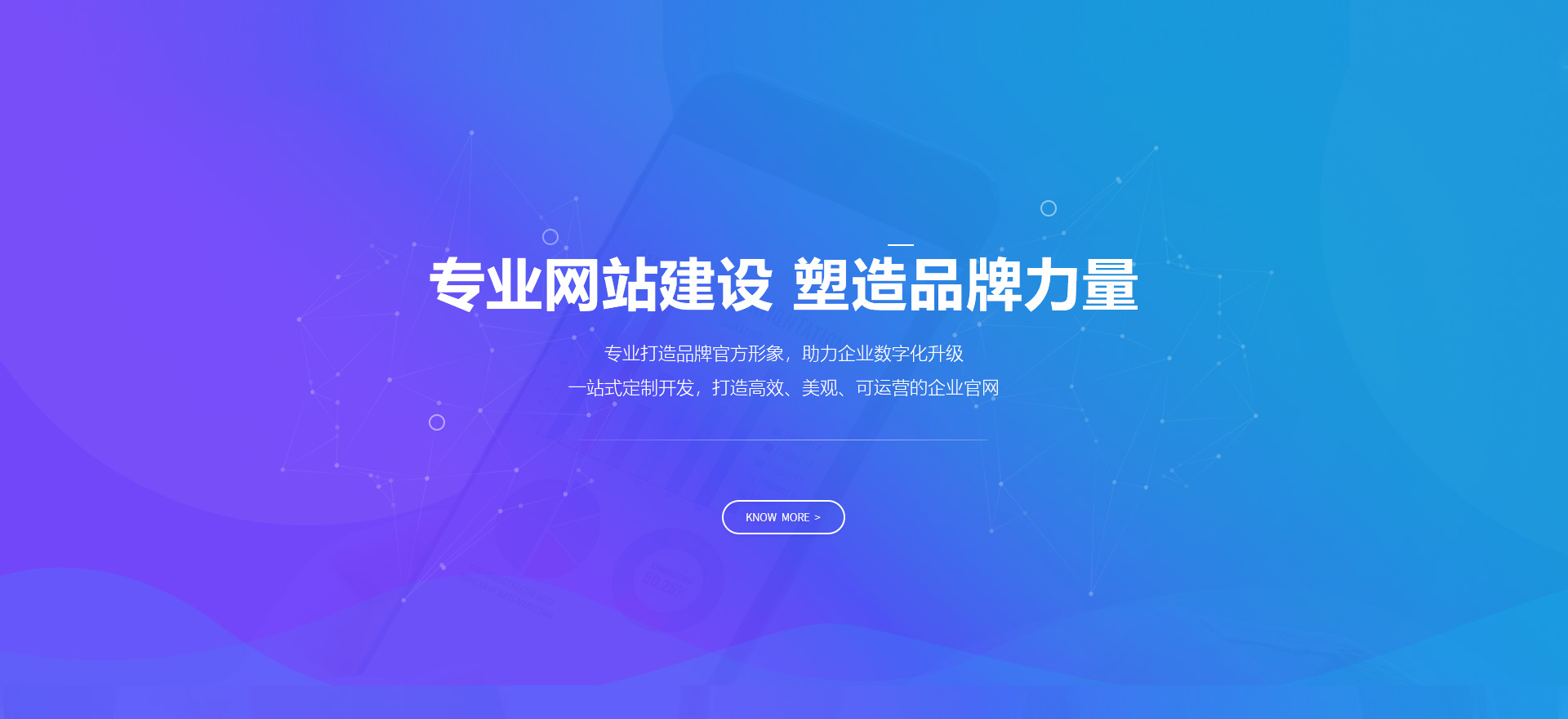河源建站-专业网站建设 塑造品牌力量