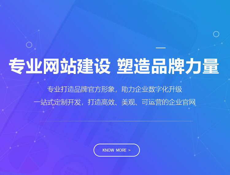 河源建站-专业网站建设 塑造品牌力量